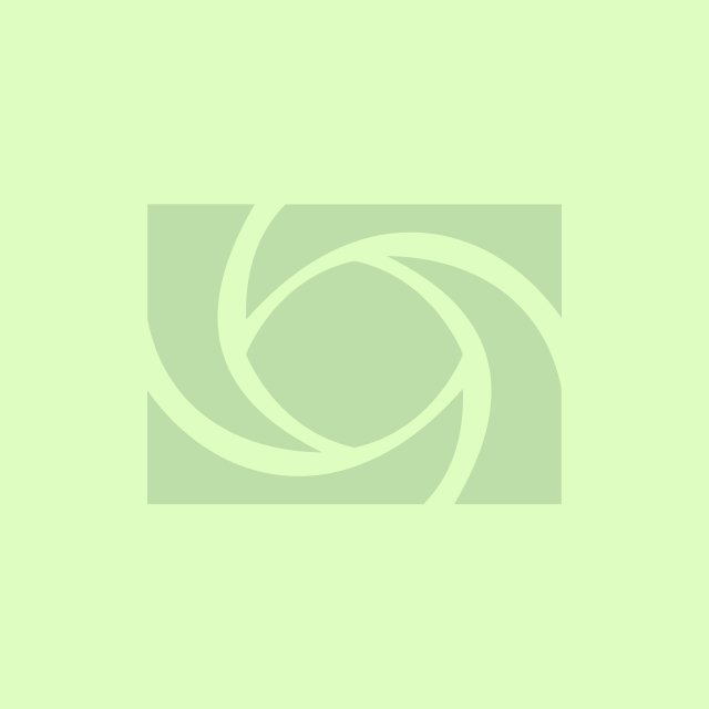 Sander DeMira Sander DeMira